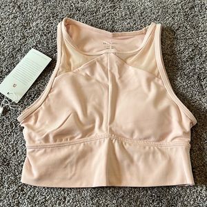 Buffbunny Sports Bra
